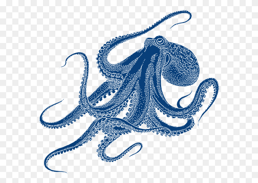 590x536 Рисунок Осьминога, Морская Жизнь, Животное, Змея Hd Png Скачать