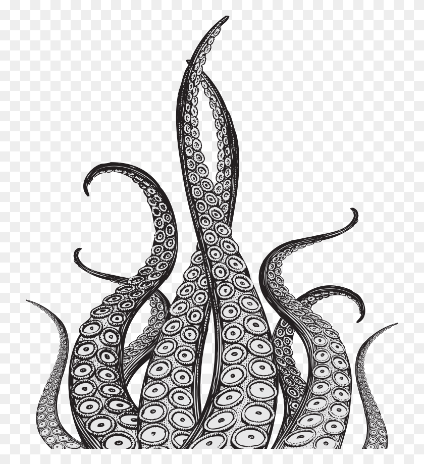 739x859 Octopus Tentacles Pic Tentacles, Sea Life, Animal, Invertebrate HD PNG Download