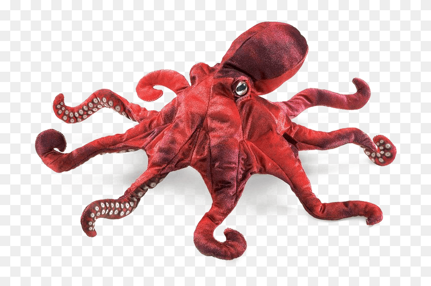 721x498 Octopus Transparent Image Octopus Puppet, Invertebrate, Sea Life, Animal HD PNG Download