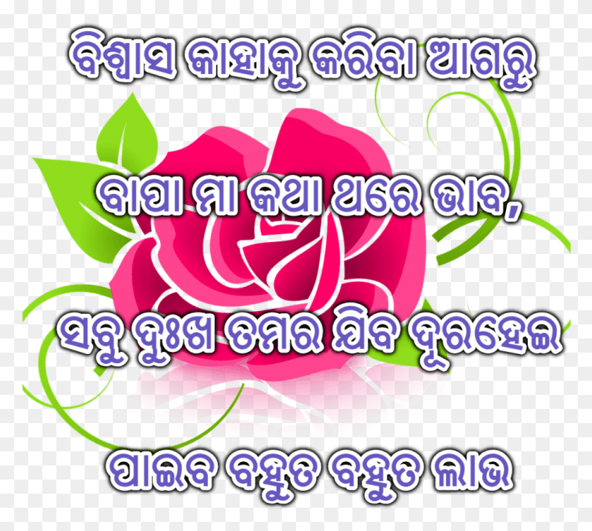 1009x897 Odia Love Shayari Images Best Collections Are Here Flor Rosa De Saron, Label, Text, Graphics HD PNG Download