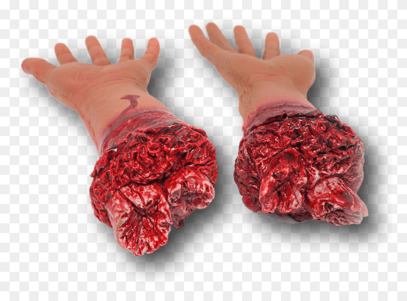 1007x724 Of 11 Bloody Severed Fake Latex Arm Arms Leg Legs, Hand, Person, Human HD PNG Download