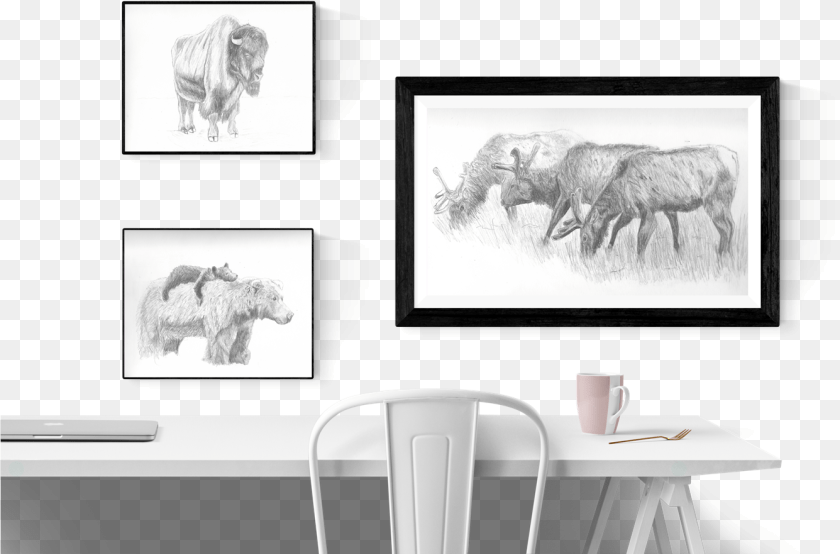 1336x881 Of Big Horned Sheep African Elephant, Animal, Table, Room, Mammal Transparent PNG