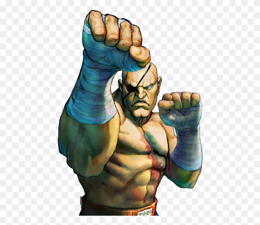 470x666 Of Course It Makes Sense To Name Sagat The Ambassador Super Street Fighter 4 Sagat, Hand, Fist, Person HD PNG Download