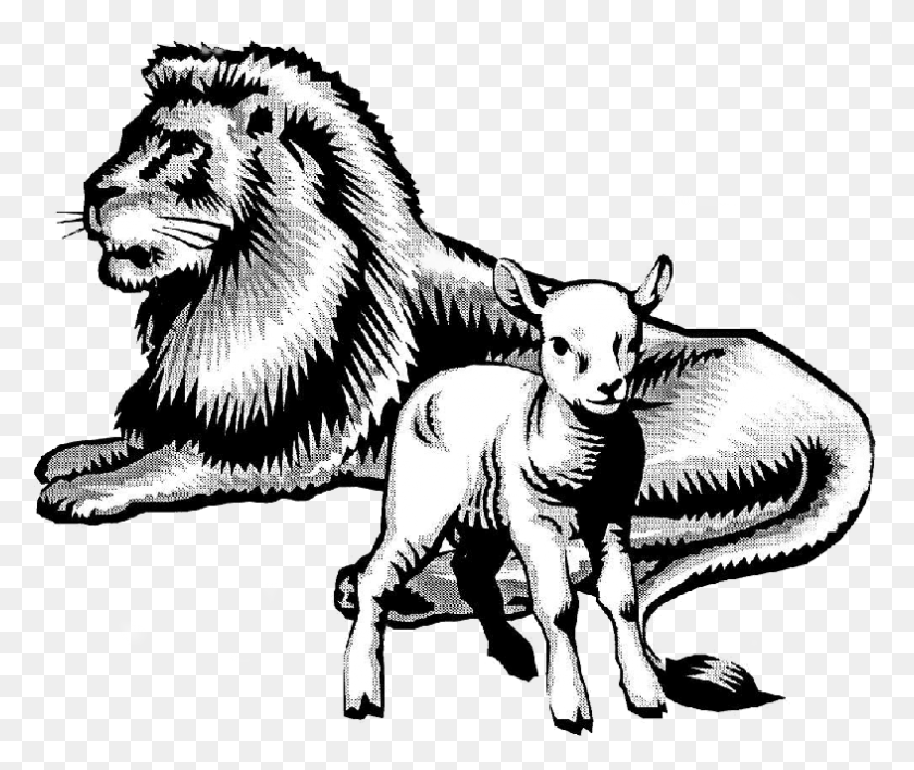 786x652 Of God39s Word And The Redemptive Power Of Christ Lamb Of God, Mammal, Animal, Wildlife HD PNG Download