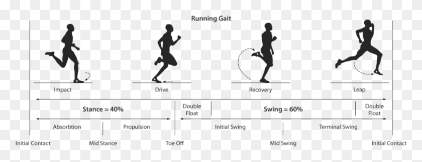 1040x352 Of Our Run Analysis Include Examining A Runner39s Gait Running Gait Cycle, Person, Human, Text HD PNG Download