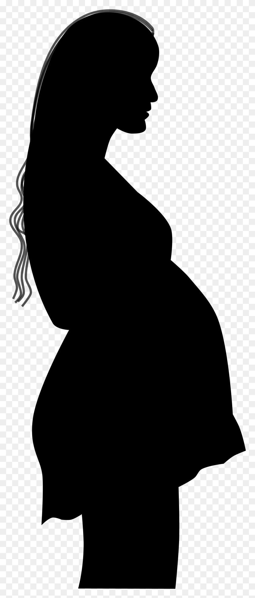 1992x4874 Of Pregnant Woman At Getdrawings Com Free Silhouette Pregnant Woman, Gray, World Of Warcraft HD PNG Download