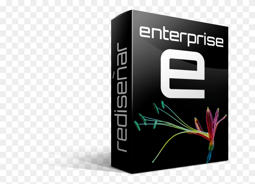 680x546 Oferta Especial Enterprise Set Up 1 Alguier Graphic Design, Text, Plant, Flower HD PNG Download