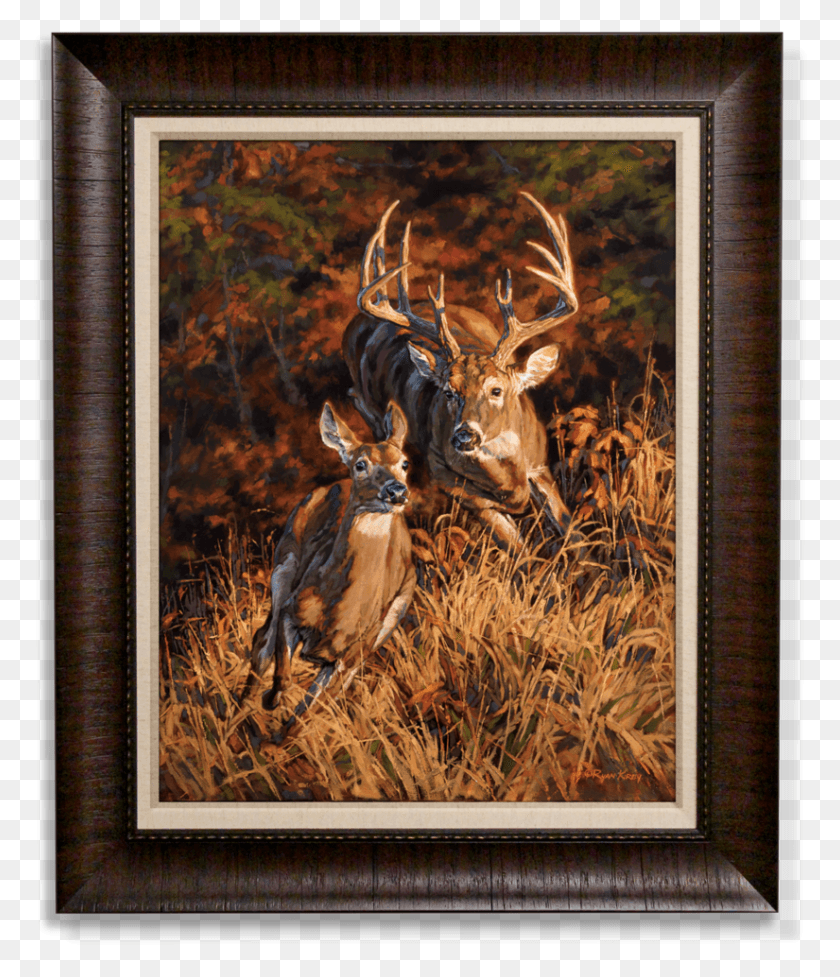 825x970 Office Wall Picture South Carolina Whitetail Deer, Wildlife, Mammal, Animal HD PNG Download