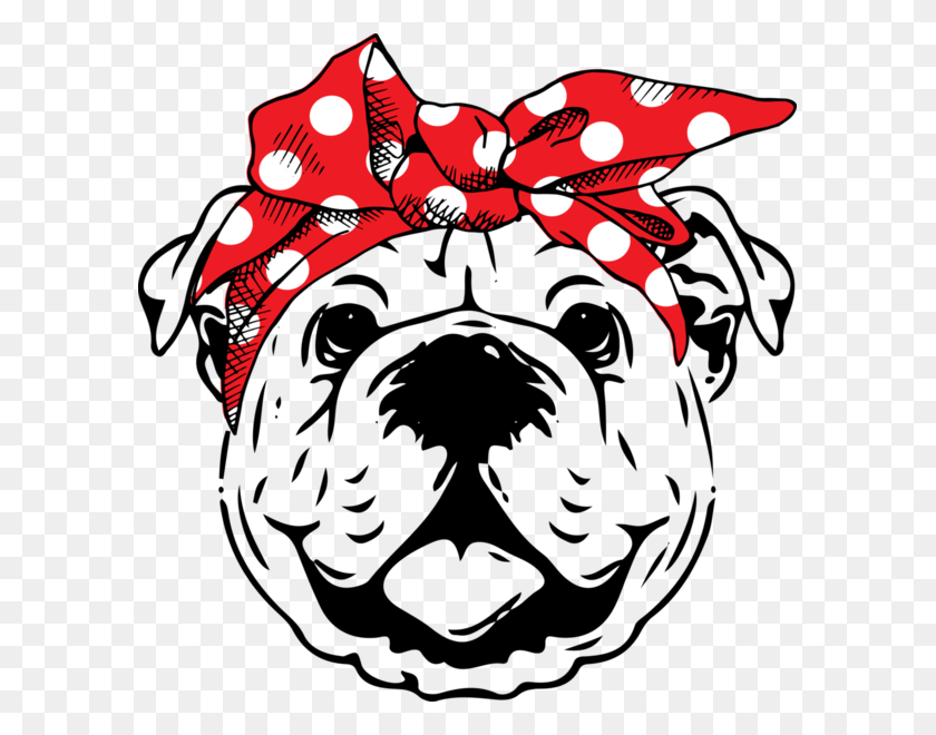 591x600 Descargar Pngoh Bow You Didn39T English Bulldog Face Dibujo, Corbata, Accesorios, Accesorio Hd Png