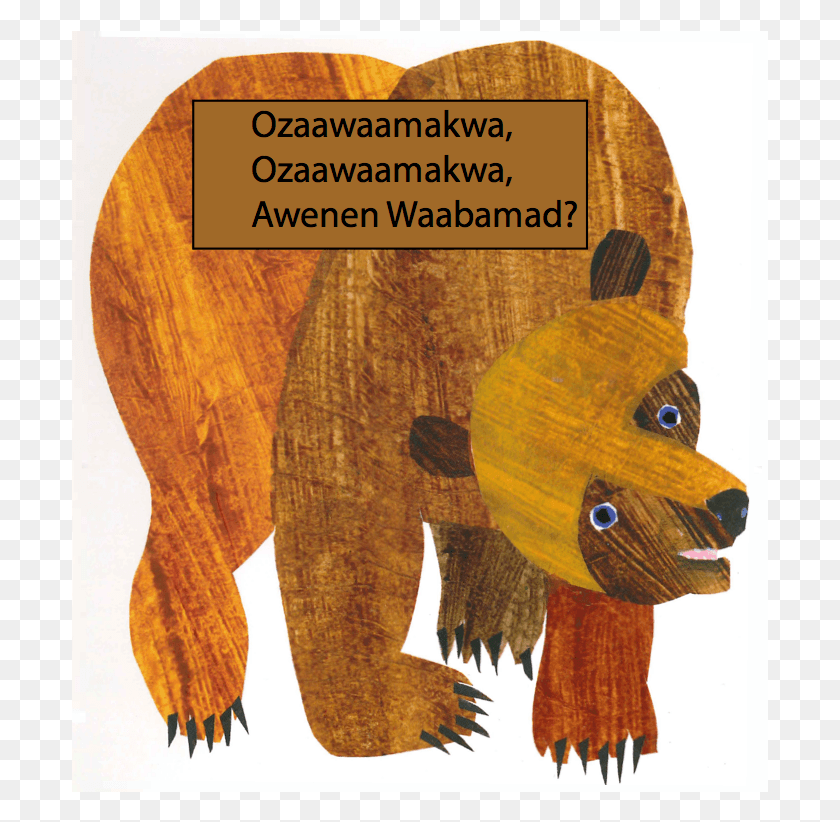 697x762 Ojibwe Brown Bear Brown Bear What Do You See 50 Anniversary, Mammal, Animal, Wildlife HD PNG Download