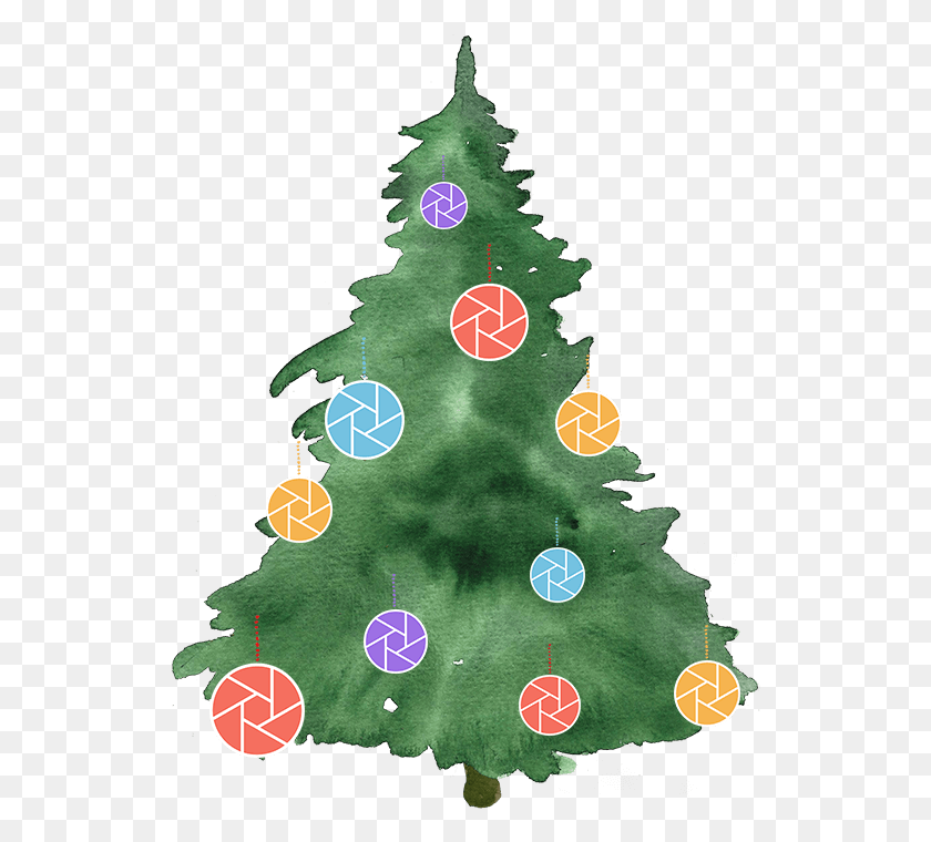 532x700 Ok Watercolor Christmas Tree, Tree, Plant, Grass HD PNG Download