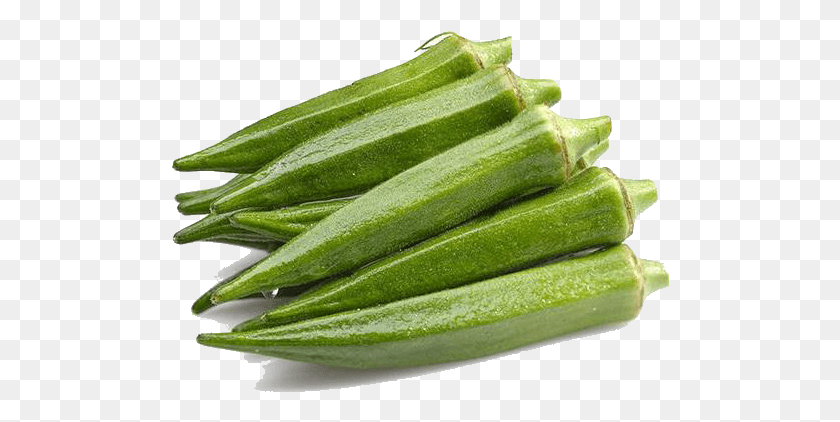 498x362 Okra, Plant, Produce, Food HD PNG Download