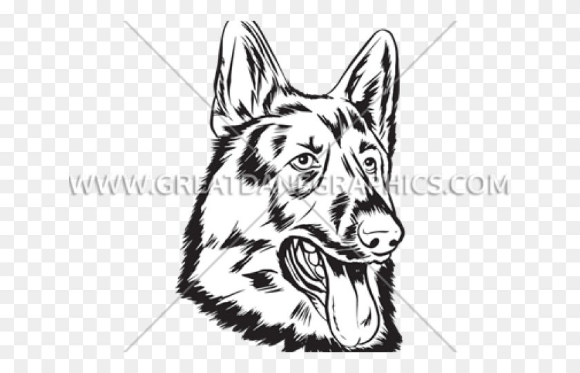 640x480 Old German Shepherd Dog, Tiger, Wildlife, Mammal HD PNG Download