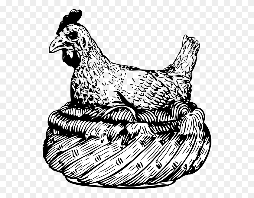 558x596 Old Hen In A Basket Svg Clip Arts 558 X 596 Px Old Clip Art, Chicken, Poultry, Fowl HD PNG Download
