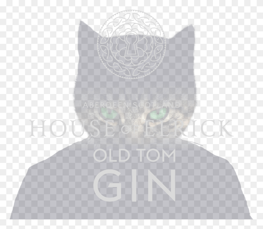 1287x1108 Old Tom Banner Cat Eyes Black Cat, Poster, Advertisement, Text HD PNG Download