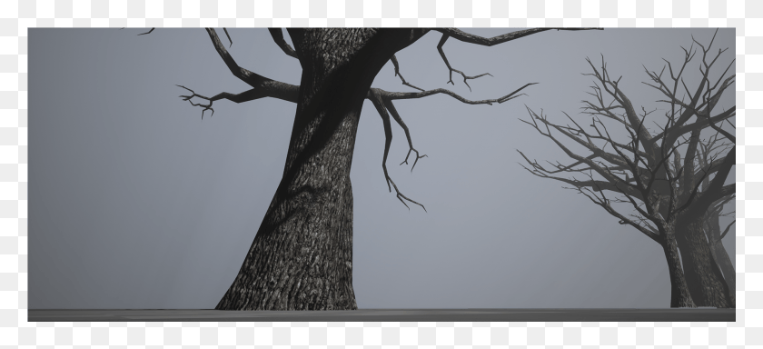 1921x800 Png Старое Дерево Пакет Дуб, Растение, Ствол Дерева, Корень Hd Png Скачать