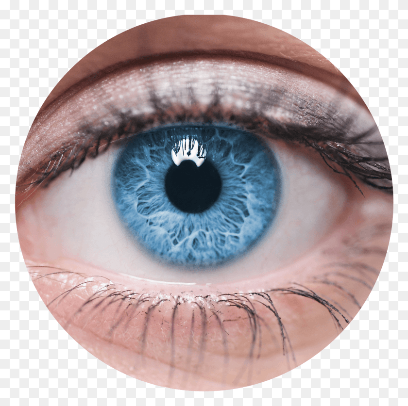 1235x1231 Olho Real People With Blue Eyes, Contact Lens HD PNG Download