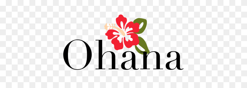 540x300 Olivas Image, Flower, Hibiscus, Plant Clipart PNG