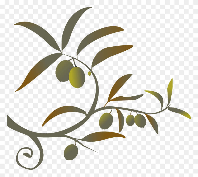 3296x2937 Оливковая Ветвь, Растение, Графика Hd Png Скачать