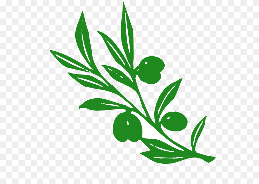 558x598 Olive Branch Clip Arts For Web, Herbal, Herbs, Leaf, Plant Clipart PNG