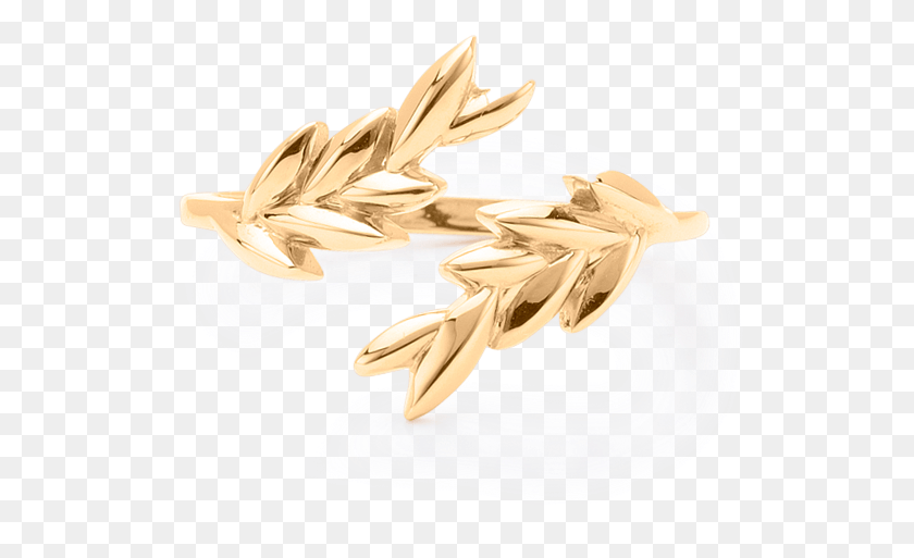 567x453 Olive Gold Leaf Ring Einkorn Wheat, Accessories, Accessory, Jewelry Descargar Hd Png