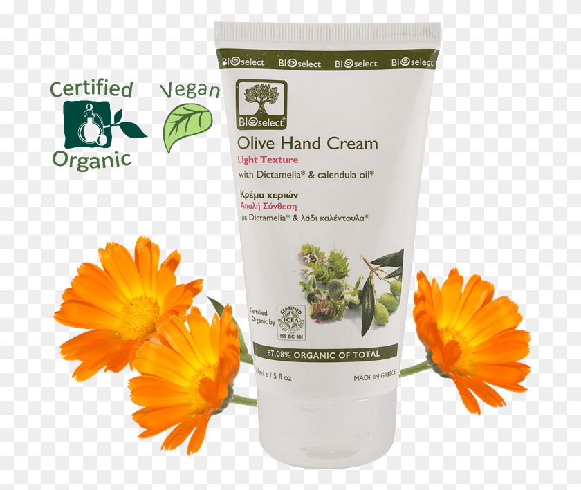 698x649 Olive Hand Cream Light Texture English Marigold, Bottle, Sunscreen, Cosmetics HD PNG Download