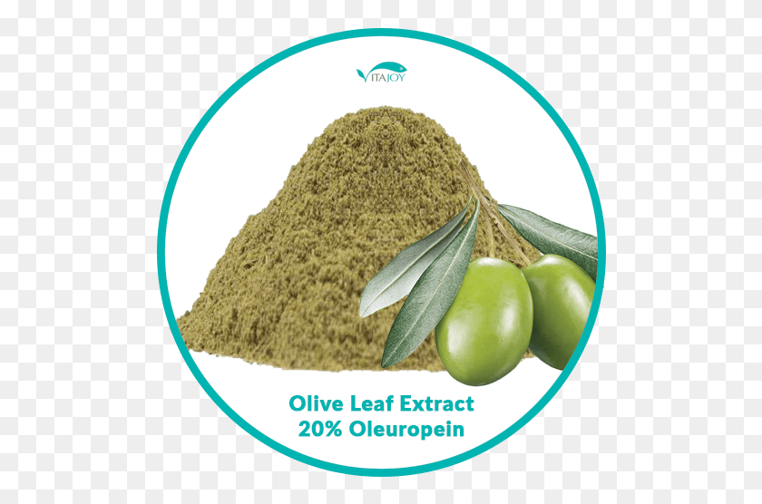 496x496 Olive Leaf Extract 20 Oleuropein Natural Foods, Plant, Food, Vegetable HD PNG Download