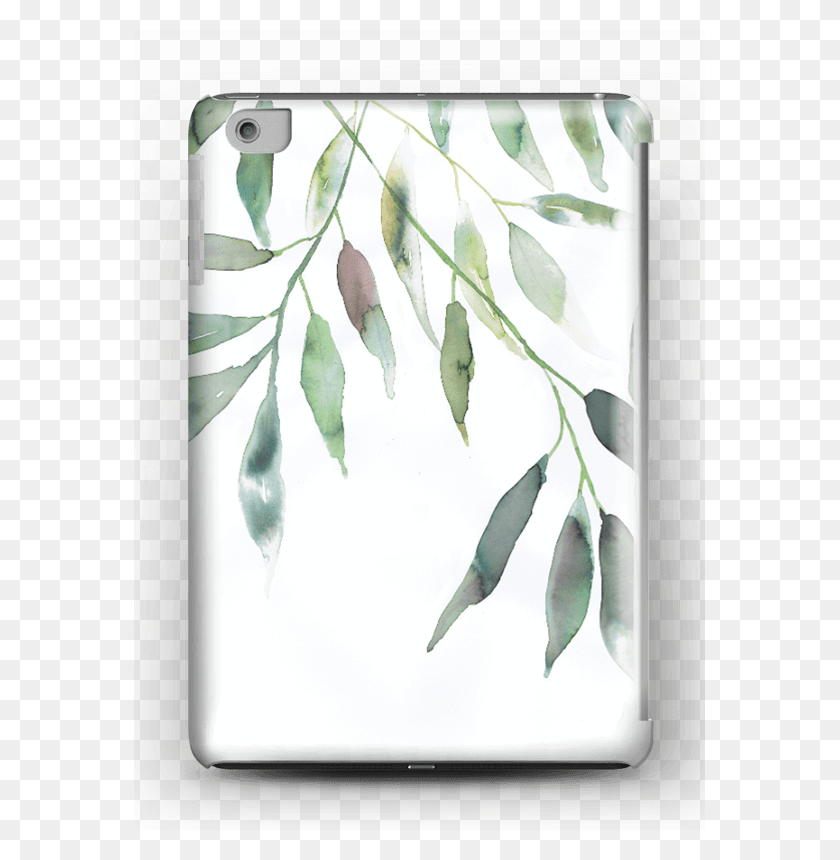 571x800 Olive Leaf Twig, Plant, Bird, Animal HD PNG Download