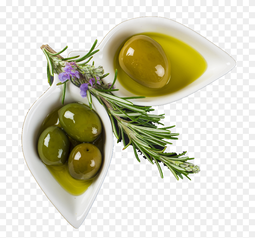 716x722 Olive Oil Olive, Potted Plant, Plant, Vase HD PNG Download