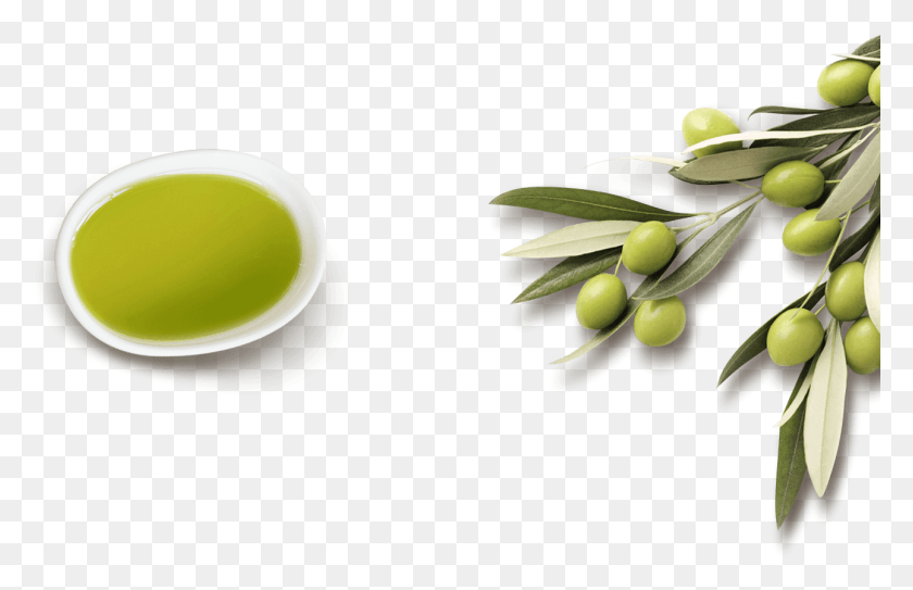 1291x801 Olive Oil Olive, Plant, Beverage, Drink HD PNG Download