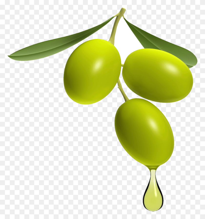 864x930 Olive Transparent Image Olive, Plant, Fruit, Food HD PNG Download