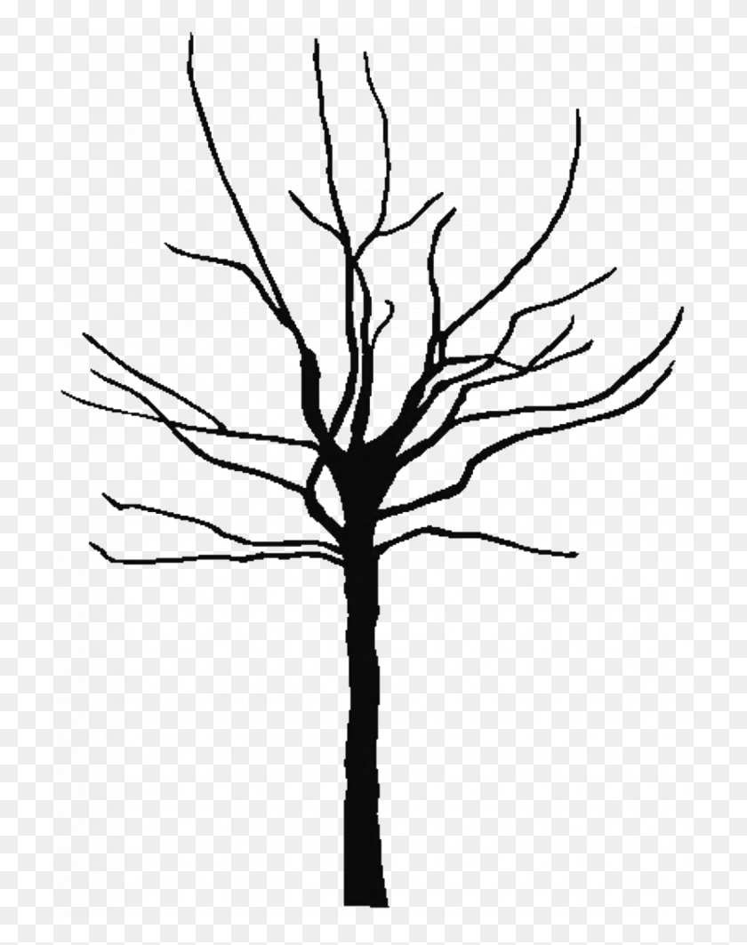 728x1003 Olive Tree Outline Curl Silhouette Icon Stock Vector Clipart Bare Trees, Tree, Plant HD PNG Download
