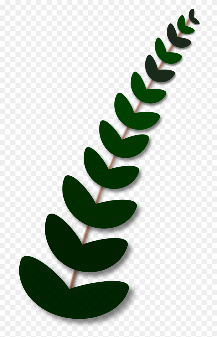 712x1243 Оливковая Ветвь Мира Рама Де Ла Пас, Растение, Цветок, Цветение Hd Png Скачать
