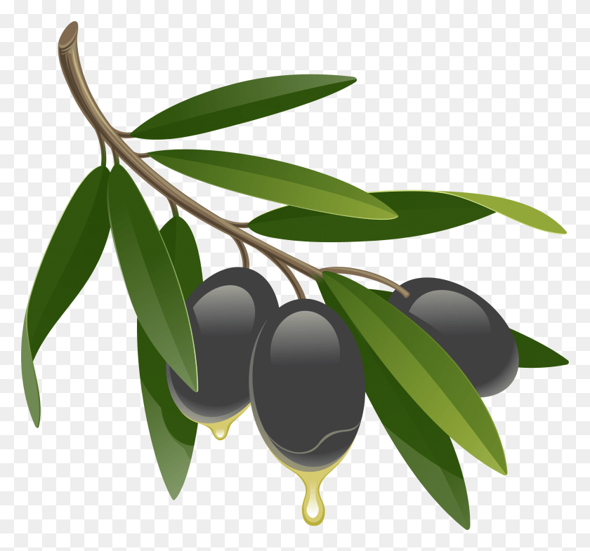 3507x3264 Olives Web Icons, Plant, Fruit, Food HD PNG Download