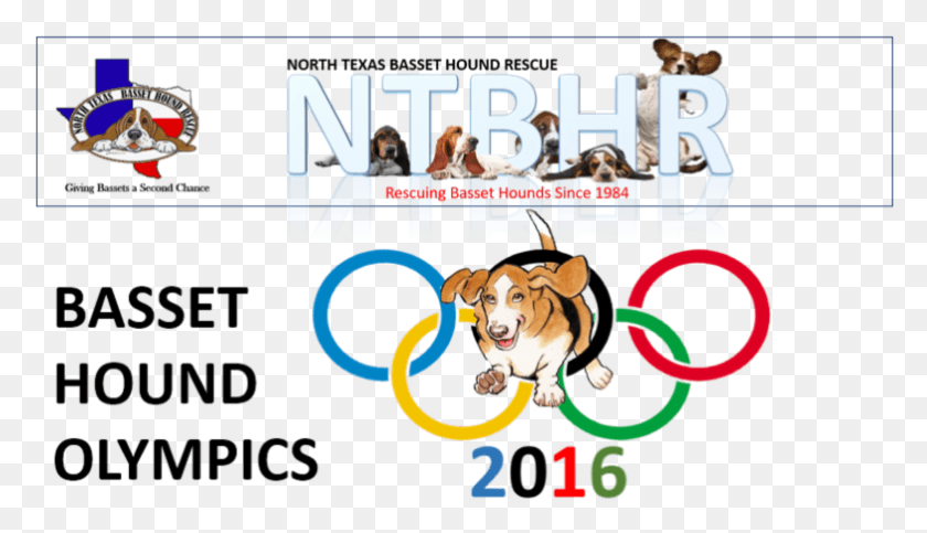 782x425 Olympics Gold Medal Clipart, Bulldog, Dog, Pet HD PNG Download