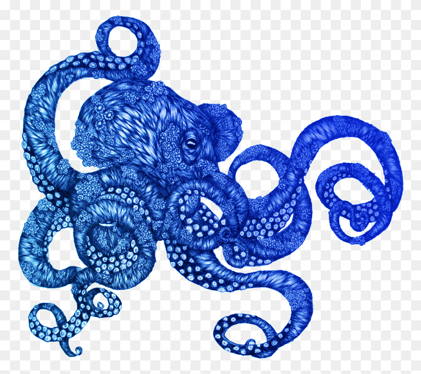 770x687 Ombre Octopus Octopus Mug, Морская Жизнь, Животное, Беспозвоночные Hd Png Скачать