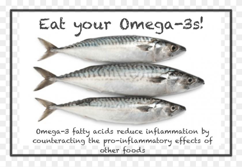 1257x840 Omega 3 Fatty Acids Found In Cold Water Fish Flax Teacher, Animal, Herring, Sea Life HD PNG Download