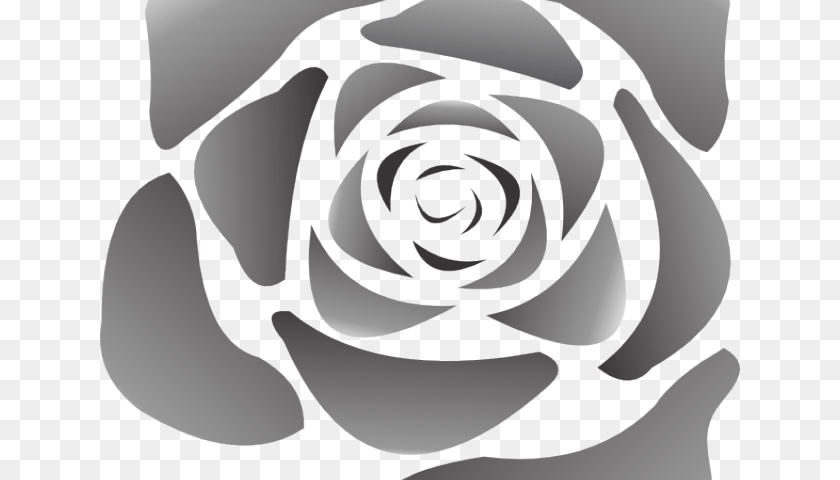 640x480 On Dumielauxepices Net Rose Waterless Tattoos Rose Min, Flower, Plant, Person, Spiral Transparent PNG