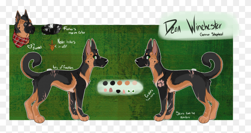 1406x695 On February 23 Of 2018 My Version Of Dean Winchester Old German Shepherd Dog, Pet, Animal, Canine HD PNG Download