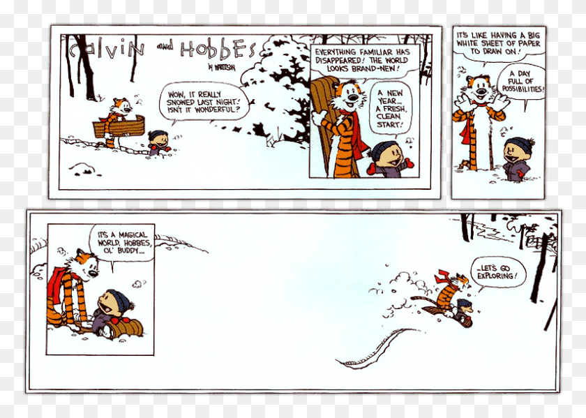 792x548 On This Day In Calvin And Hobbes Comics, Book, Bird, Animal HD PNG Download