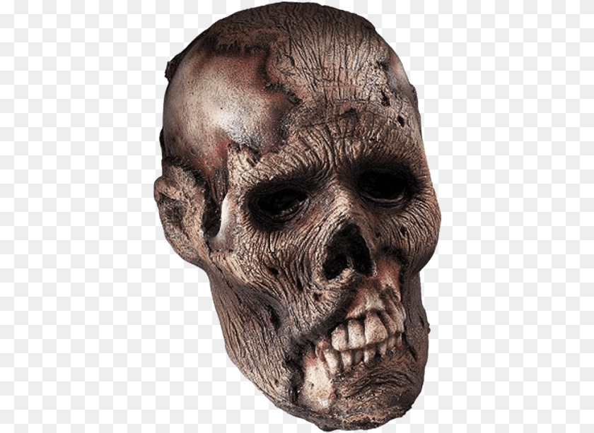 On Your Request Deluxe Rotting Skull Rubies 6088 Multi Colored, Animal, Elephant, Mammal, Wildlife Transparent PNG