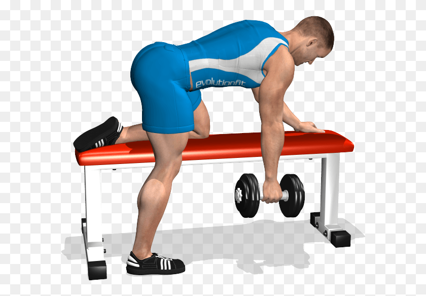 602x523 One Arm Dumbbell On Flat Bench Involved Flat Bench Rows, Person, Human, Sport HD PNG Download