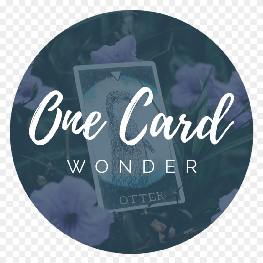 879x878 One Card Wonder Product Button Label, Text, Alphabet, Word HD PNG Download
