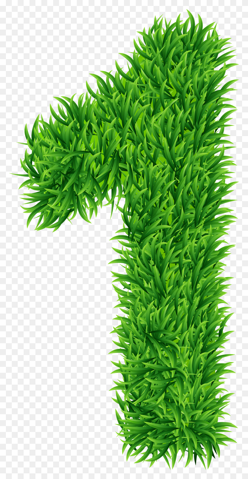 1478x2955 Одна Трава Номер Прозрачное Изображение Аквариум, Растение, Растительность, Куст Png Скачать