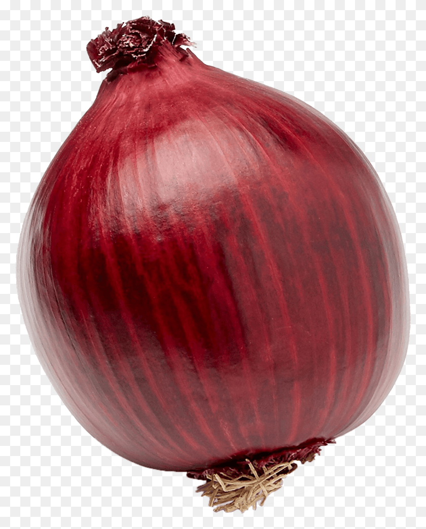 1117x1410 One Onion, Plant, Shallot, Vegetable HD PNG Download