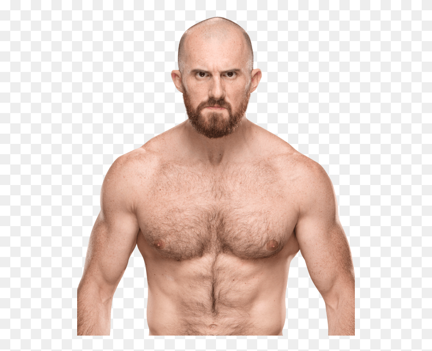 541x623 Oney Lorcan Wwe 2019, Face, Person, Human HD PNG Download