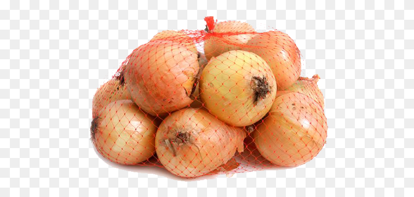494x339 Onion 1 Bag Yellow Onions 2 Lb Bag, Plant, Fungus, Food HD PNG Download