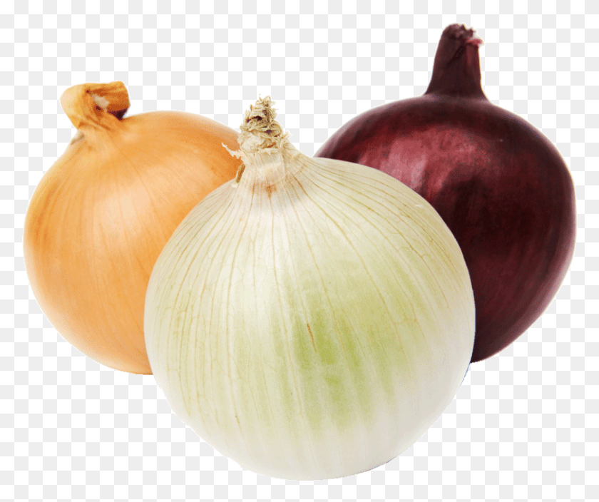 838x692 Onion 1 Kg Pearl Onion, Plant, Fungus, Vegetable HD PNG Download