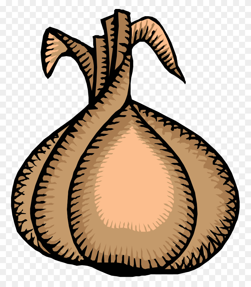 765x900 Onion, Dinosaur, Reptile, Animal HD PNG Download