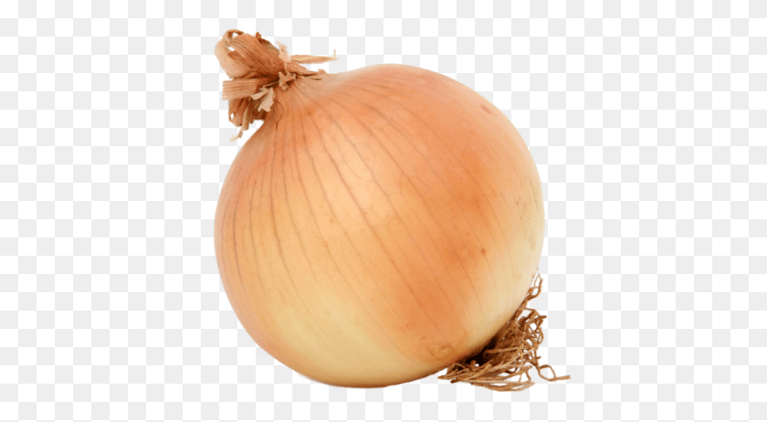 413x402 Onion, Plant, Shallot, Vegetable HD PNG Download